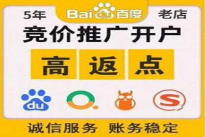 SEO与SEM融合策略：成功案例解析